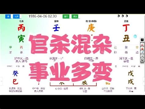 五行計算|免費線上八字計算機｜八字重量查詢、五行八字算